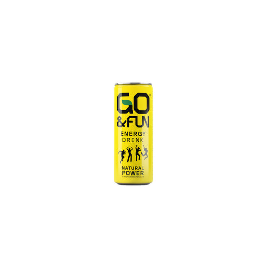 GO & Fun Lemon & Ginger - 25cl Can