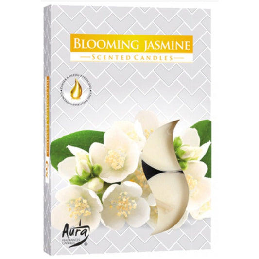 Tealight Scented Jasmine Blossom - 6 Pack